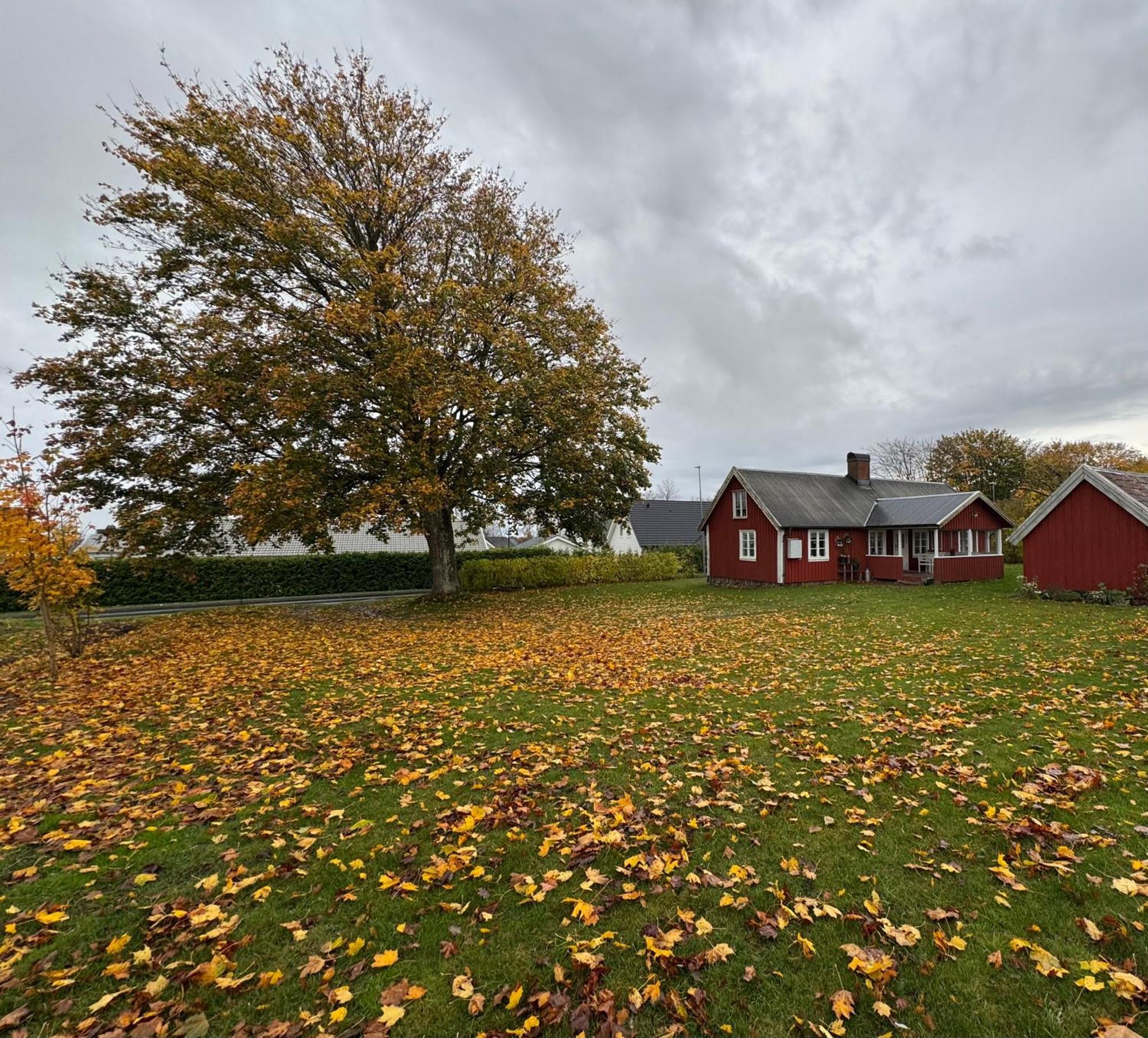 Villa Stora Loenn Falkenberg Exterior foto